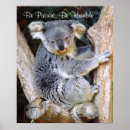 Recherche de koala bear posters Ours