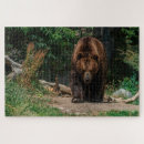 Search for brown bear puzzles Nature