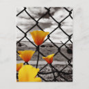 Recherche de les cieux cartes postales Nuages