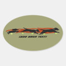 Search for flyball Pets