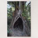 Search for meditation puzzles Nature