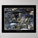 Search for wolf conservation posters Animal lovers