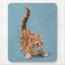 Recherche de rebondissant tapis souris Rebondir