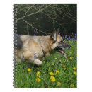 Search for german shepherd notebooks Flowers