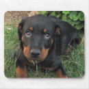 Search for guilty mousepads Animals