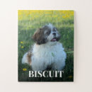 Search for big cat puzzles Animal