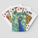 Search for peacock playing cards Nature