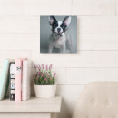 Recherche de french bulldog horloges Jeune animal