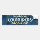Search for funny dachshund bumper stickers Cute