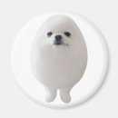 Recherche de oeufs de cuisine magnets Pour elle
