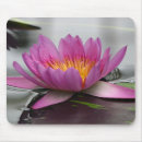 Search for lilypad mousepads Pink