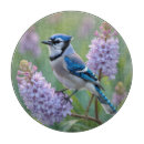 Search for stands cookware Bird