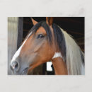 Recherche de crinières cartes postales Cheval