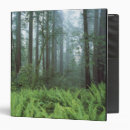 Search for mist binders Usa