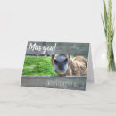 Search for funny i miss you cards Photography