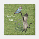 Recherche de chats siamois magnets Animal