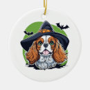 Search for witch ornaments Ghost