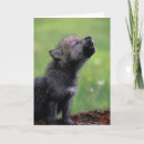 Search for wolf howling cards Dog