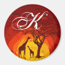 Recherche de safarri magnets Safari