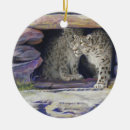 Search for snow leopard ornaments Big cats