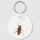 Search for roaches keychains Insect