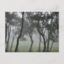 Search for madeira postcards Nature