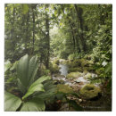 Recherche de courant carreaux Nature