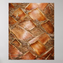 Search for tree trunks posters Outdoors