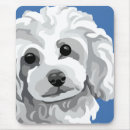 Search for white standard poodle electronics Animals