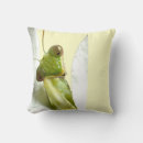 Recherche de mantid Prier mantid