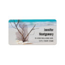Search for treasure return address labels Ocean