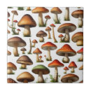 Search for collectable tiles Cute