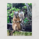 Recherche de idiot photographie Humour