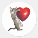 Search for tabby kitten stickers Red