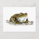 Recherche de dessin de crabe cartes postales Illustration