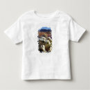 Search for rosa parks tshirts Anza borrego