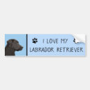 Search for labrador bumper stickers Black lab
