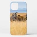 Search for antelope iphone cases Wildlife