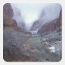 Search for nas stickers Environment