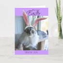 Recherche de chat pâques cartes De