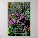 Search for coneflowers posters Garden