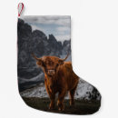 Search for scotland christmas stockings Cattle