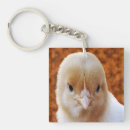 Search for baby chicken keychains Bird