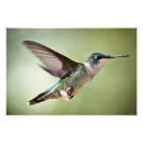 Recherche de rouge gorge posters Nature