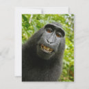 Search for funny monkey cards Happy
