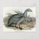 Recherche de gosse cartes postales Illustration