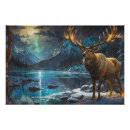 Search for wapiti posters Wildlife