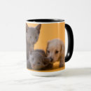 Search for dachsund mugs Pet