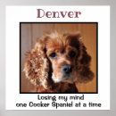 Recherche de de cocker art Chien