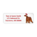 Search for irish setter return address labels Winter